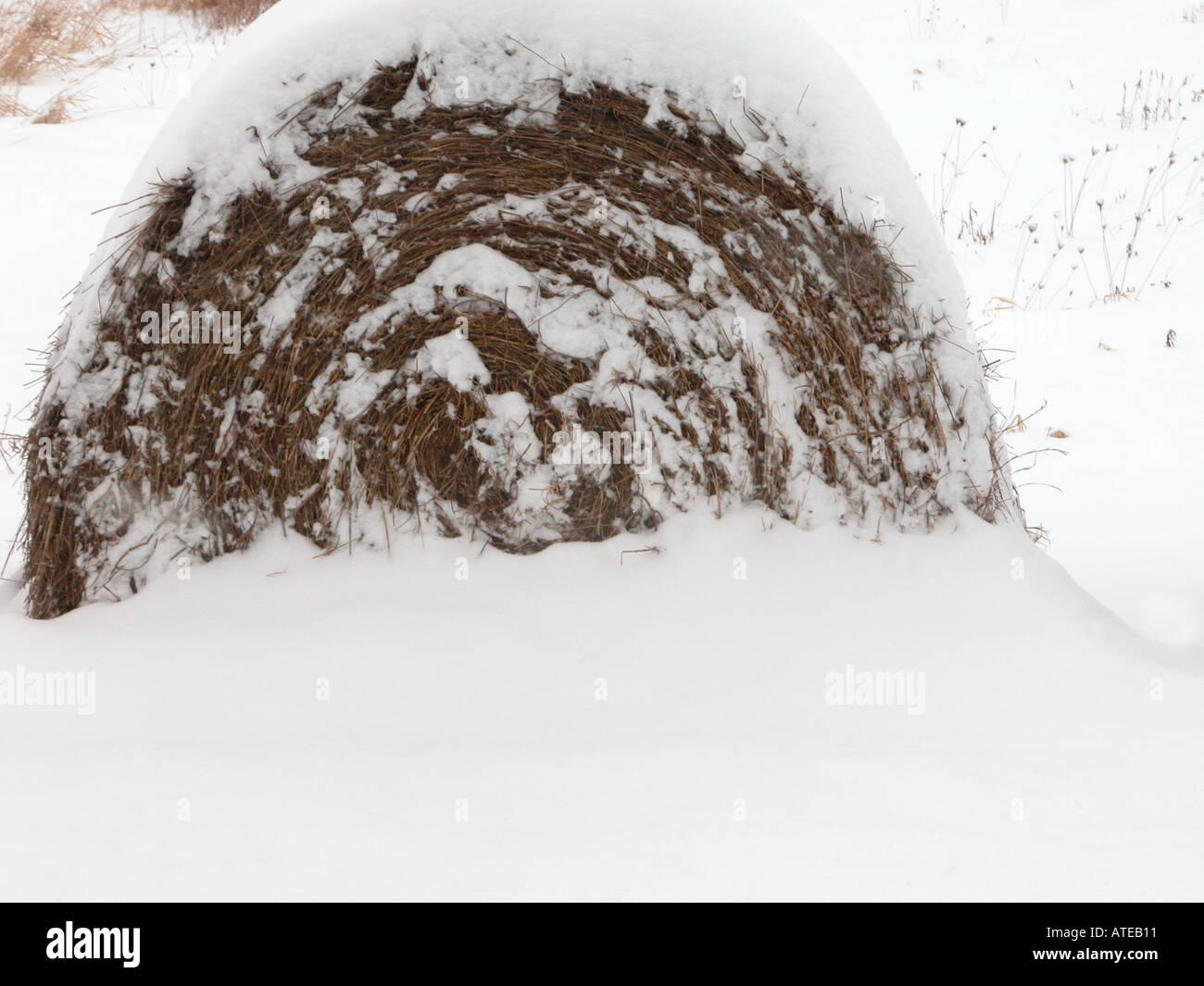 Ballots de foin d'été laminées dans le champ couvert de neige en hiver Banque D'Images