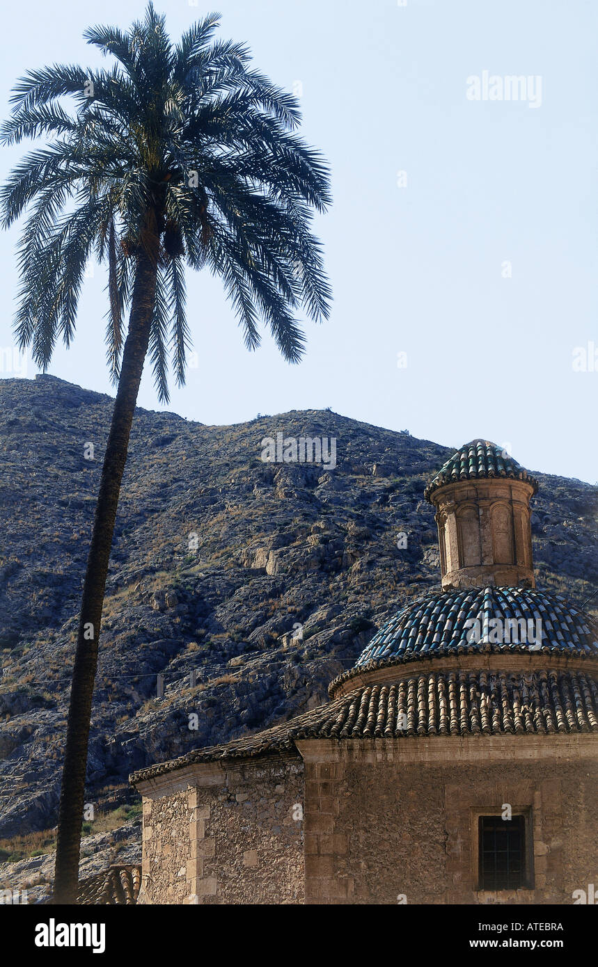 Un grand palmier surplombant la coupole carrelée du Colegio de Santo Domingo sur les pentes des collines arides autour de Torrevieja sur la Costa Blanca Banque D'Images