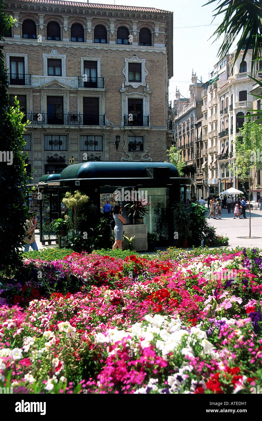 Un tas de plantes en vente dans la Plaza Santo Domingo vieux Murcia s plus grande place Banque D'Images