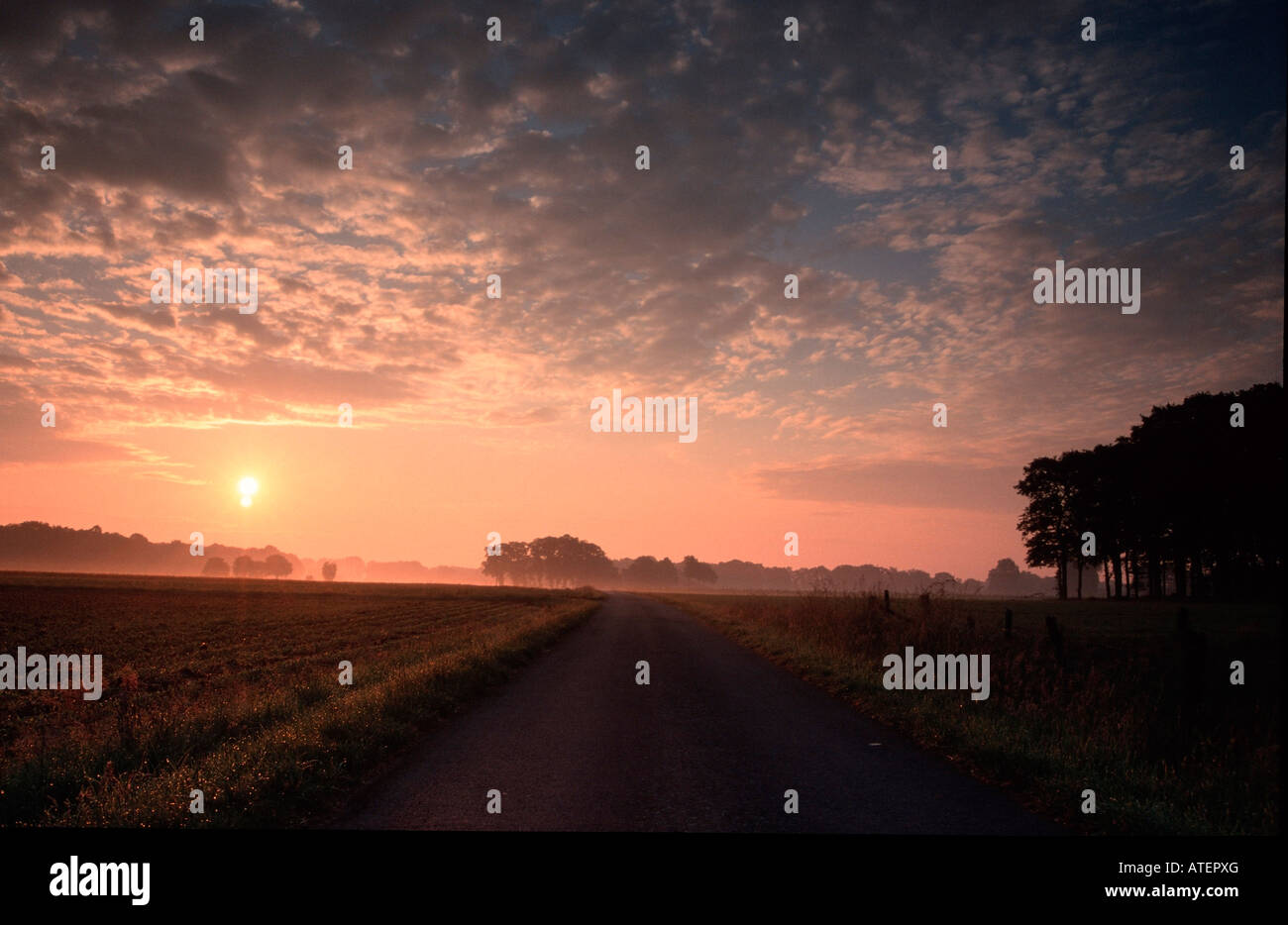 Pays agraire au lever du soleil / Agrarland bei Sonnenaufgang Banque D'Images