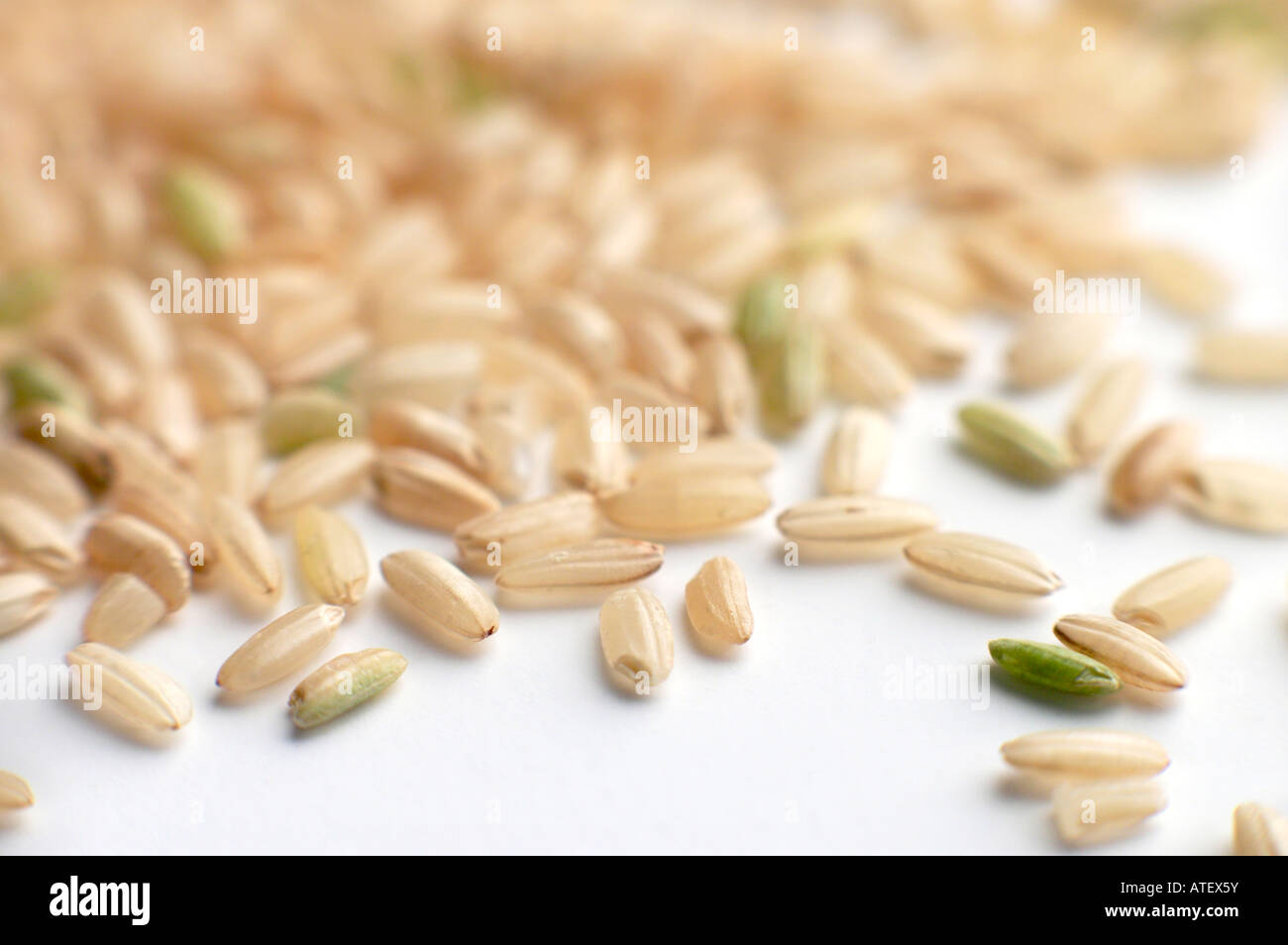 Riz brun biologique Banque de photographies et d’images à haute ...