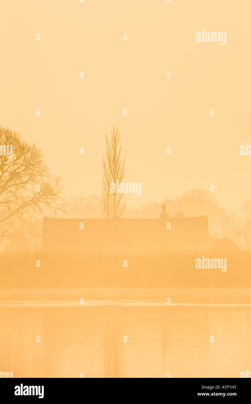 Chaumière et arbre dans Misty sur Hickling large Banque D'Images