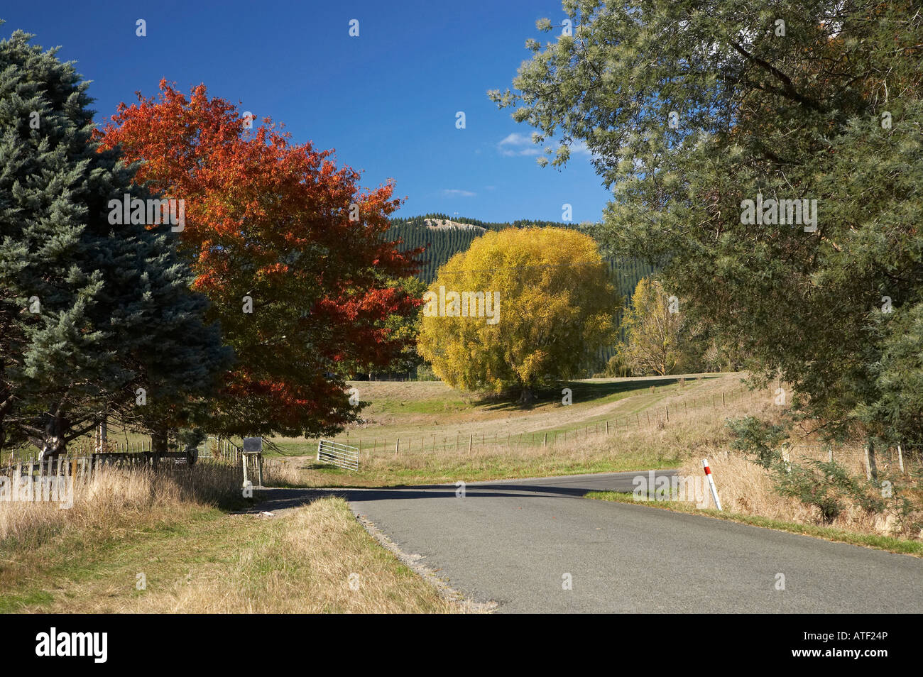 Automne Couleur Tukituki Road près de Havelock North Tukituki Valley Hawkes Bay Ile du Nord Nouvelle Zélande Banque D'Images