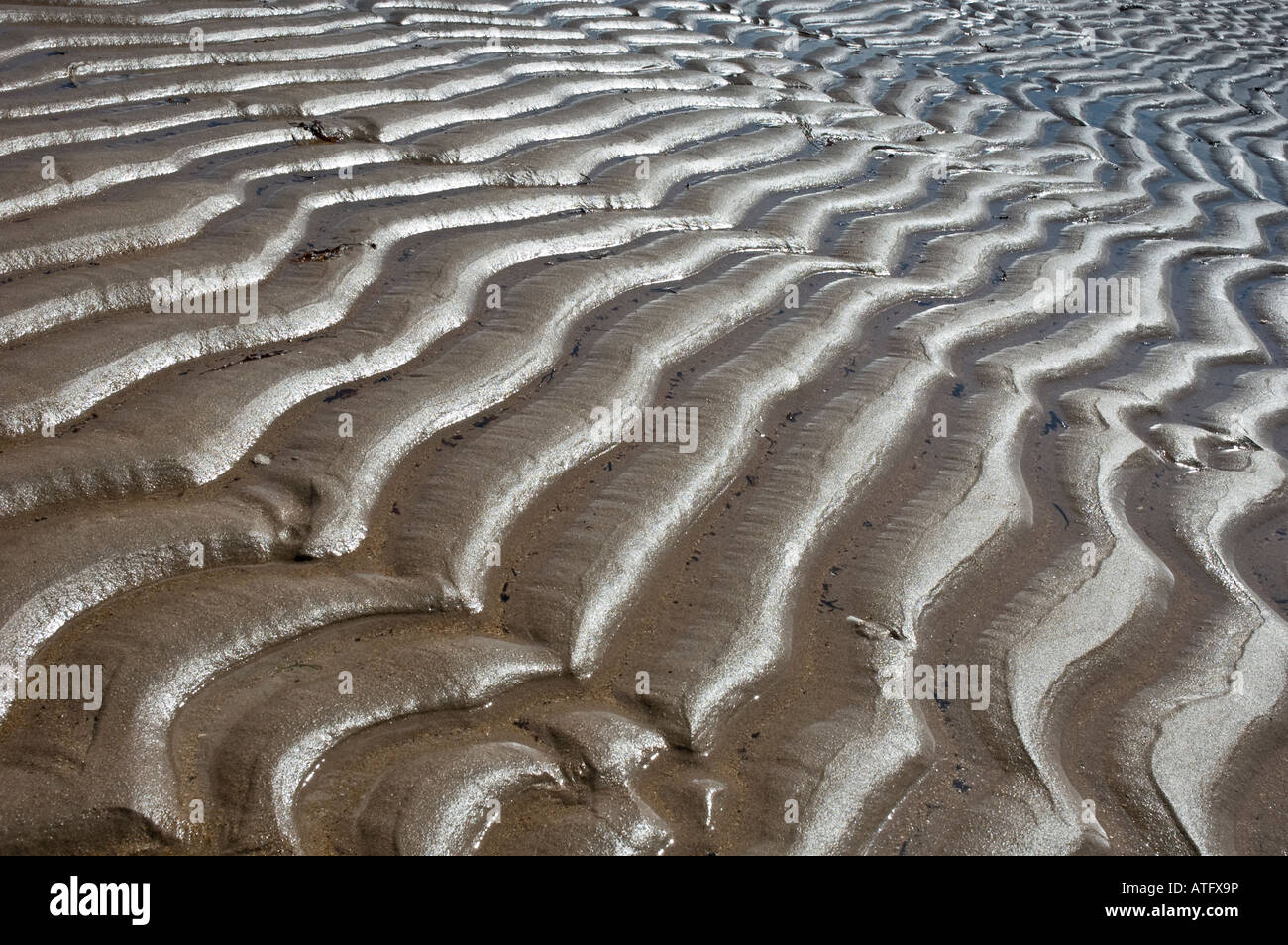 Les ondulations de sable sur une plage en Ecosse Banque D'Images