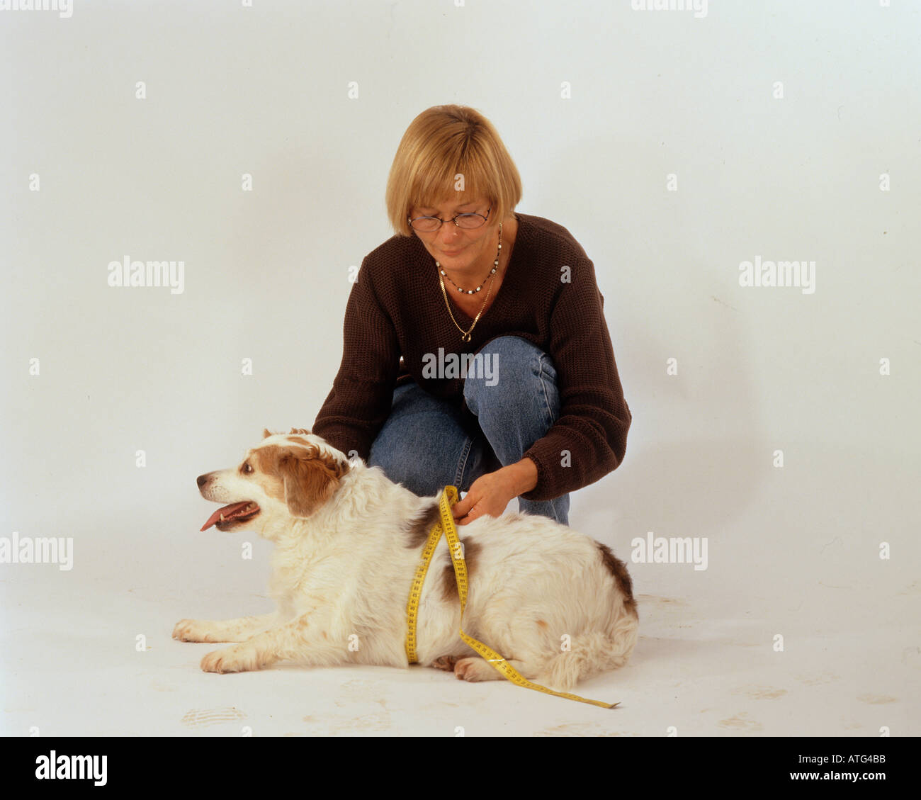 Femme et chien : mesure abdominale Banque D'Images