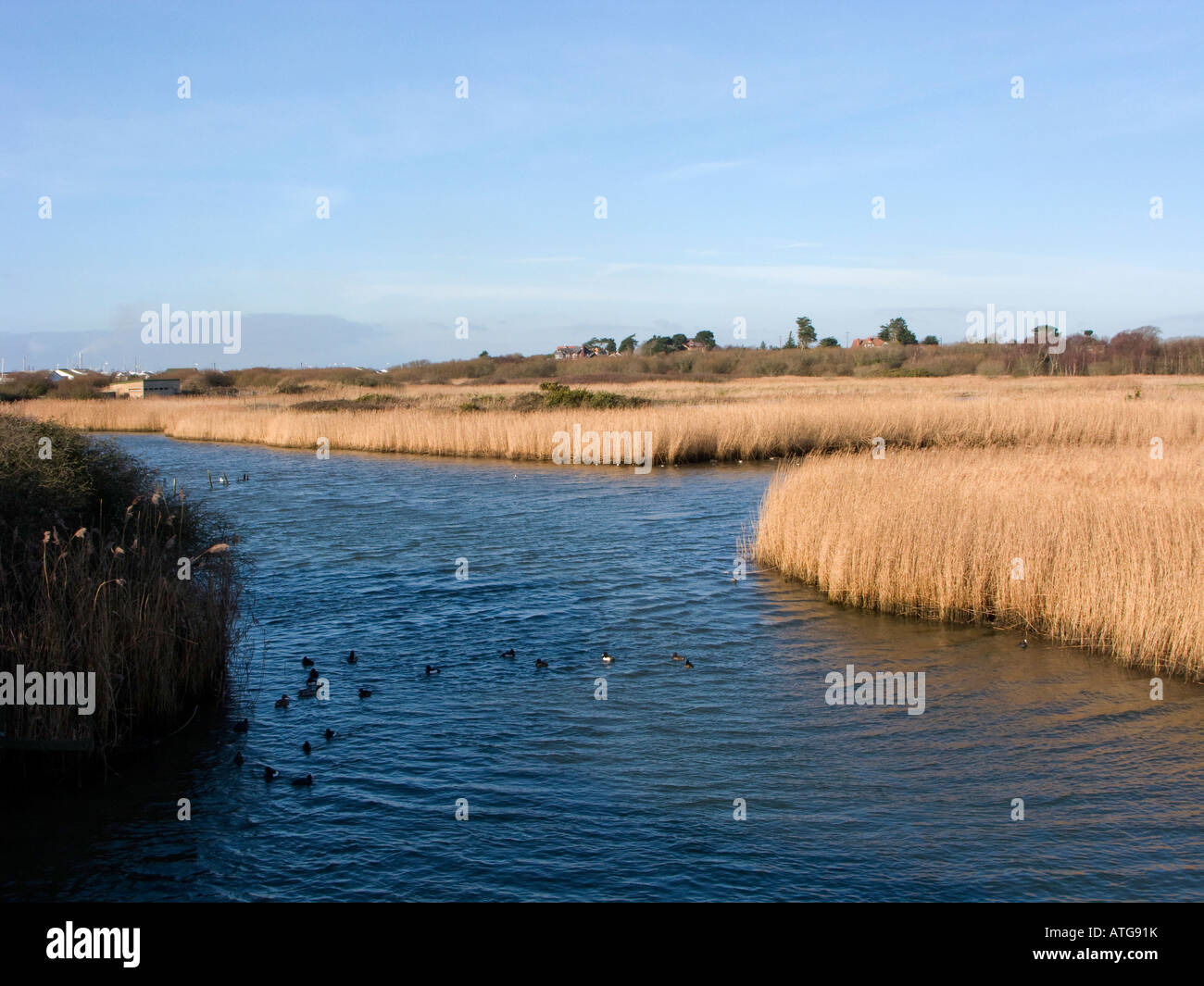 Réserve Naturelle de Titchfield Haven dans le Hampshire, au Royaume-Uni Banque D'Images