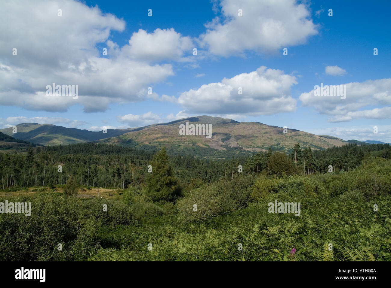 dh Queen Elizabeth Forest Park ACHAY FOREST STIRLINGSHIRE Ben Ledi écosse scottish Mountain pittoresque bleu ciel forêts arbres trossachs royaume-uni Banque D'Images