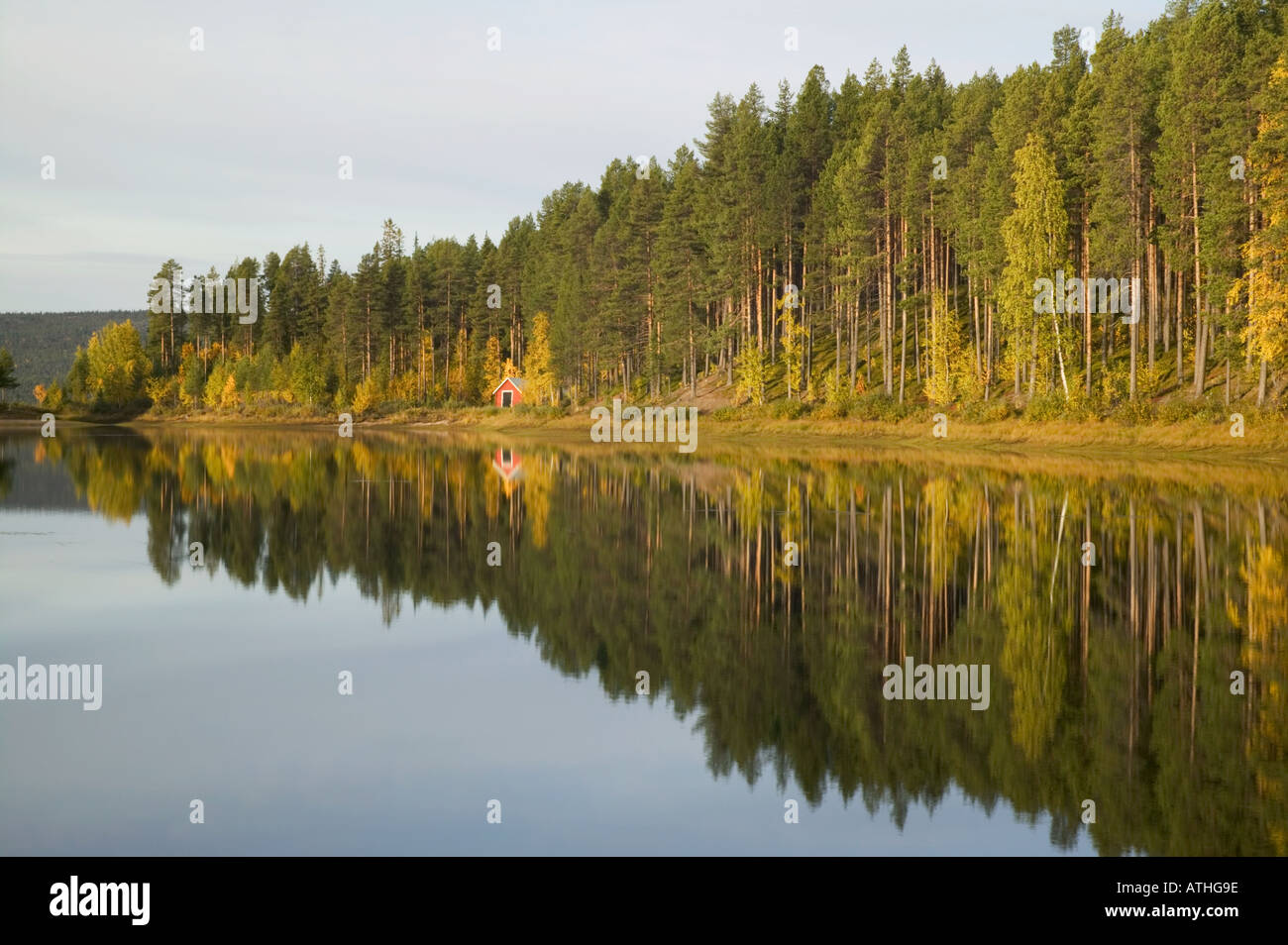Une forêt au bord du lac sur un début de matinée calme nr Jokkmokk Suède Laponie Banque D'Images