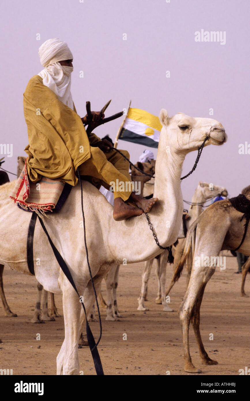 In-Gall, près d'Agadez, au Niger. Le touareg à chameau cure annuelle salé, le rassemblement annuel des nomades Touaregs dans le nord du Niger Banque D'Images
