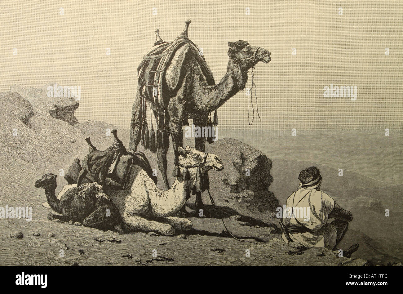 Un repos dans le désert pour les chameaux et les riders basée sur la peinture par C Rud Huber, publié en 1885 Banque D'Images
