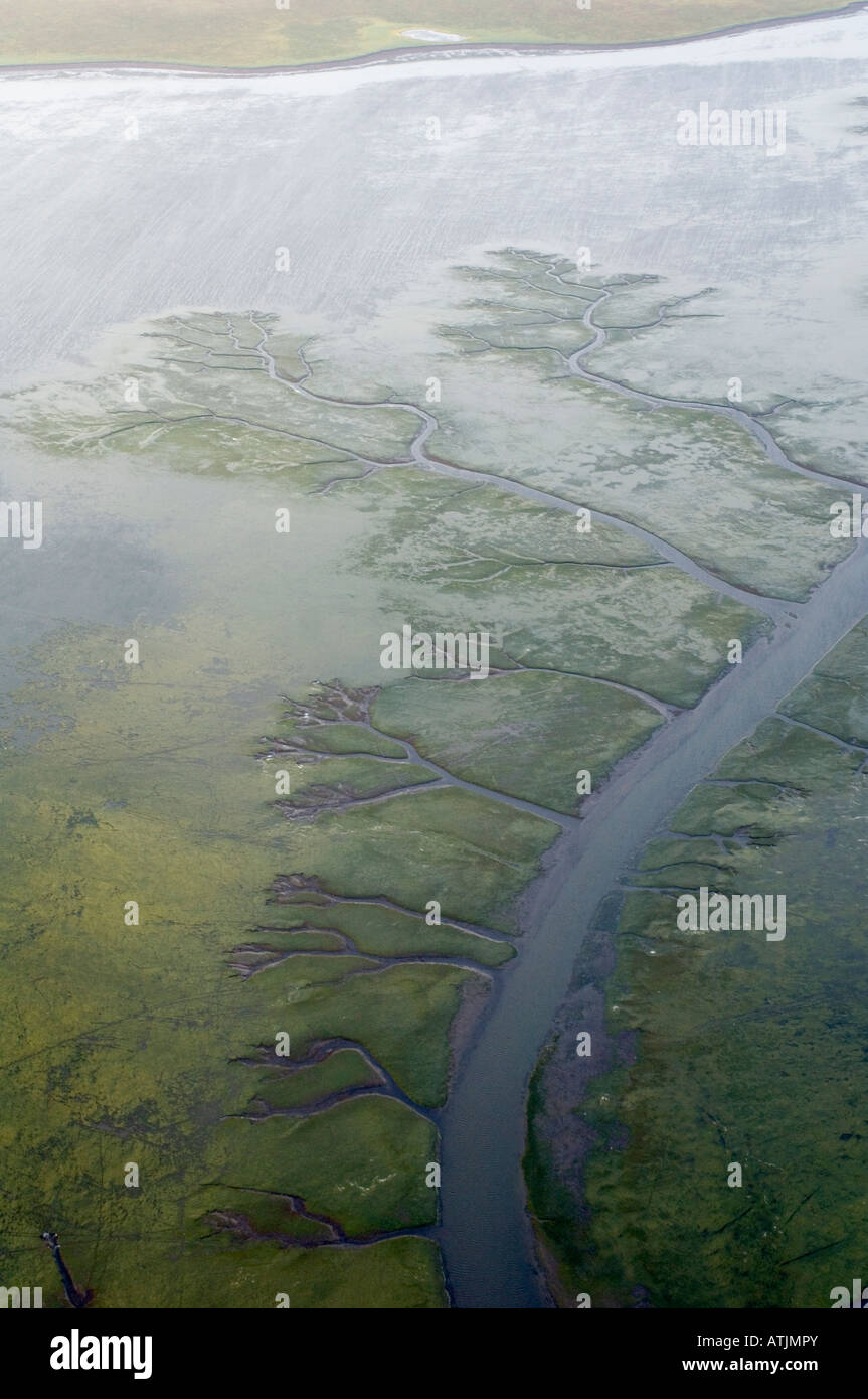 Zostère marine, lagon Izembek, Nat Izembek Wildlife Refuge, en Alaska AERIAL Banque D'Images