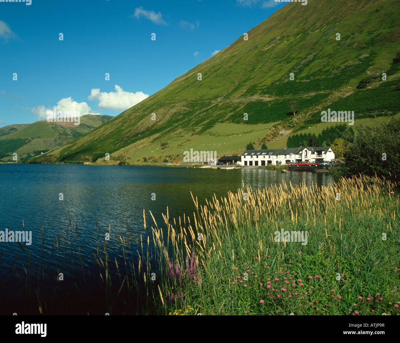 Tal-y-Llyn, Gwynedd, Pays de Galles, Royaume-Uni. Banque D'Images