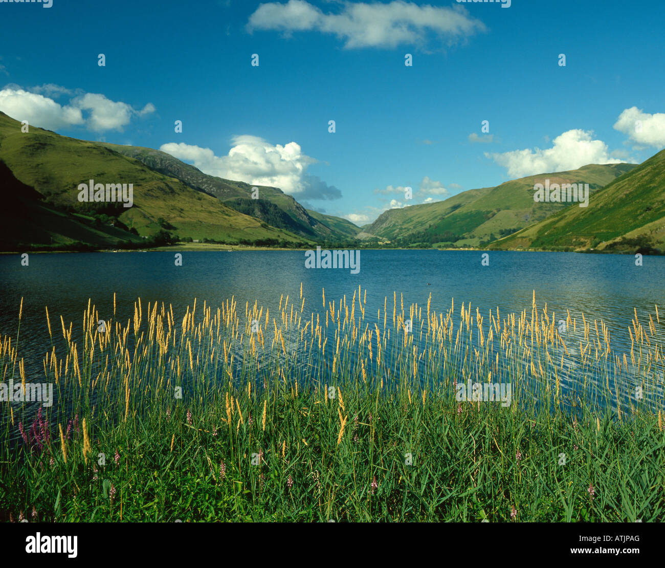 Tal-y-Llyn, Gwynedd, Pays de Galles, Royaume-Uni. Banque D'Images