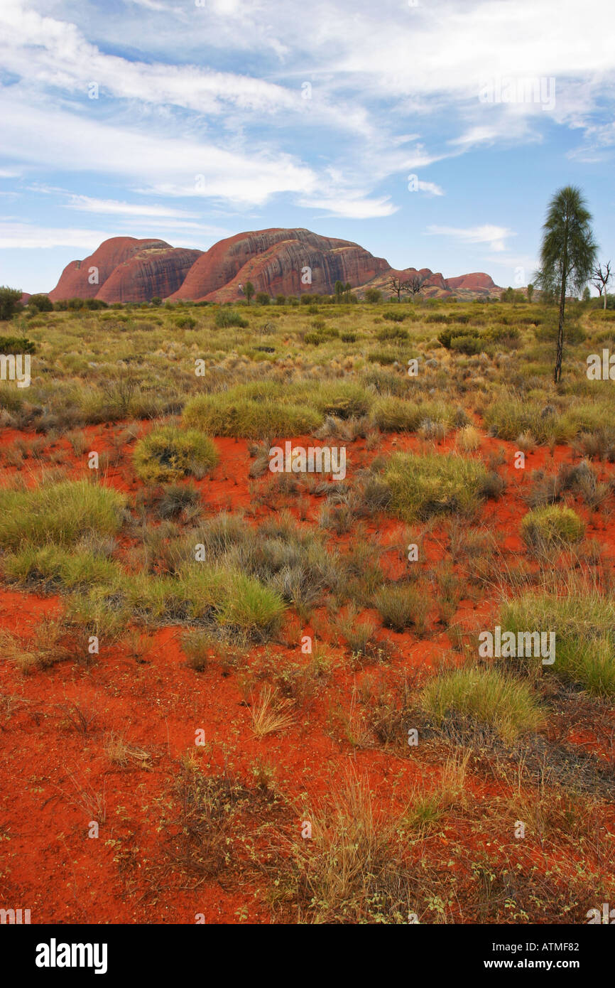Sable rouge du désert australien et buissons scrub mènent dans la distance à l'Olgas Kata Tjuta rochers de grès de l'Australie Banque D'Images