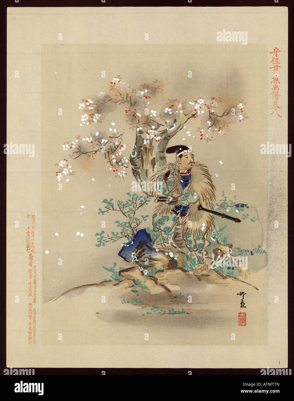 Samouraï japonais Ukiyo e imprimer sous un cerisier en fleurs fleurs de saison Banque D'Images