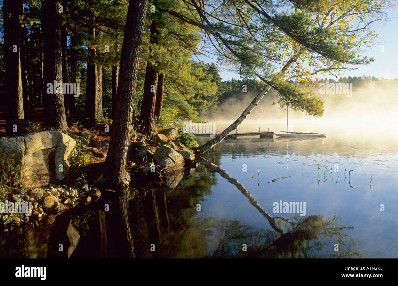 Lumière du matin au lac d'amis montagnes Adirondack, New York USA Banque D'Images