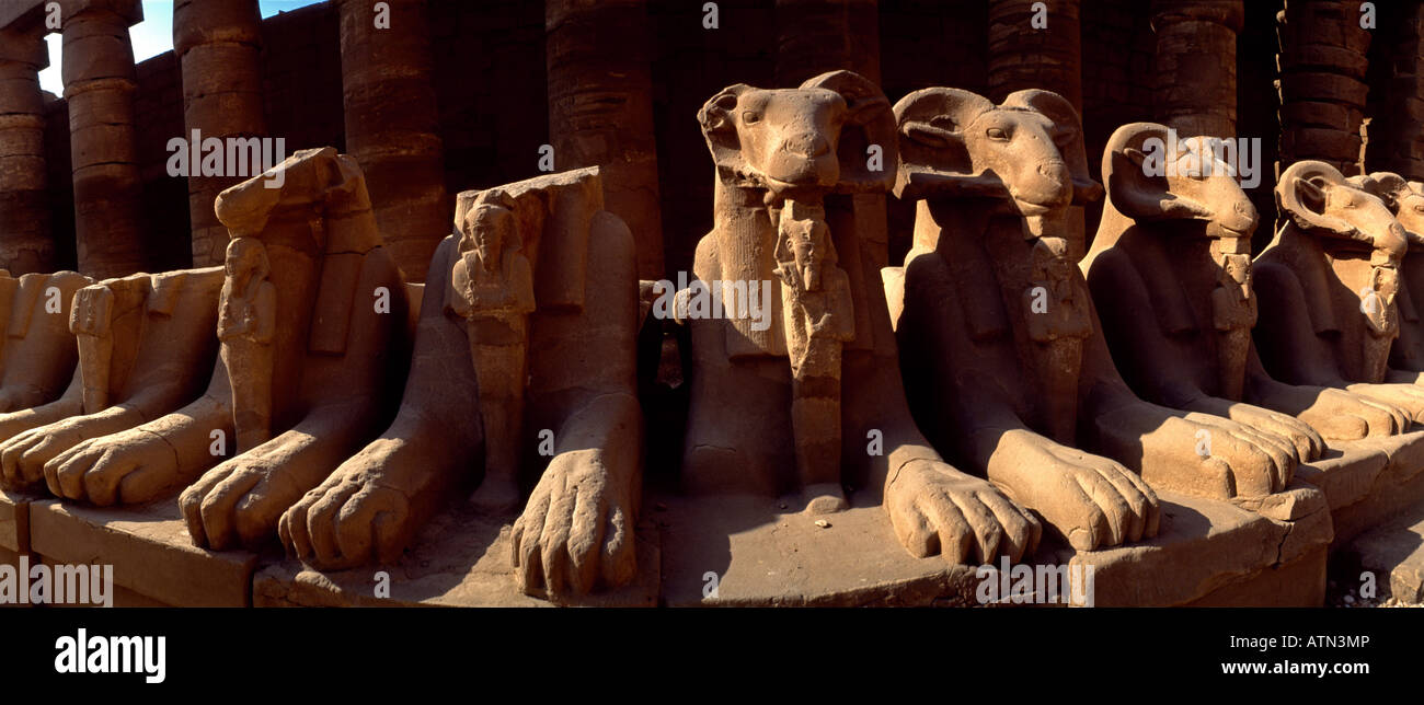 Karnak Temple Complex Egypte Avenue de RAM-tête Sphinxes le RAM Symbolisant le Dieu égyptien Amun protégeant les effigies royales de Ramsès II dans le FO Banque D'Images