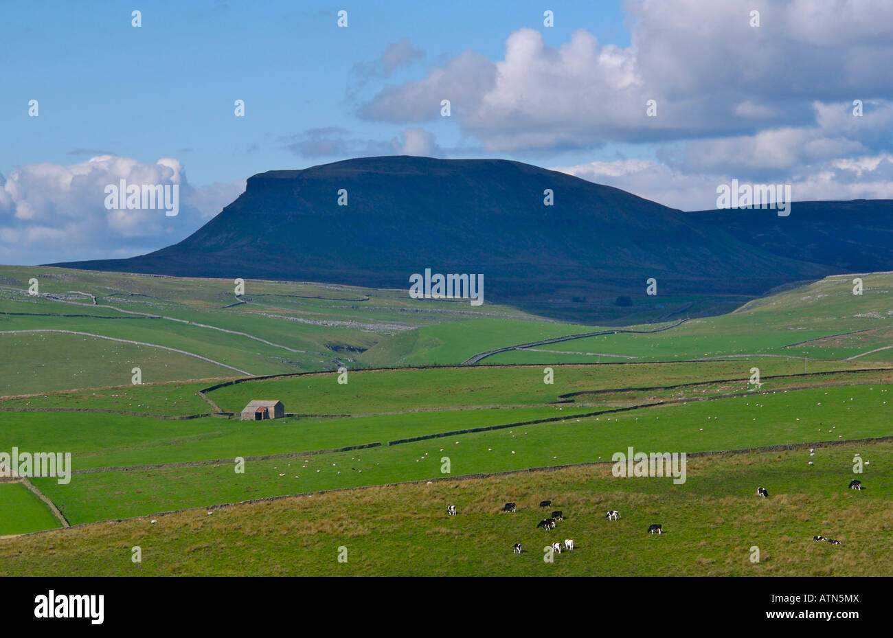 Silhouette de Pen-y-Ghent (l'un des Trois Pics), Yorkshire Dales National Park, Royaume-Uni Banque D'Images