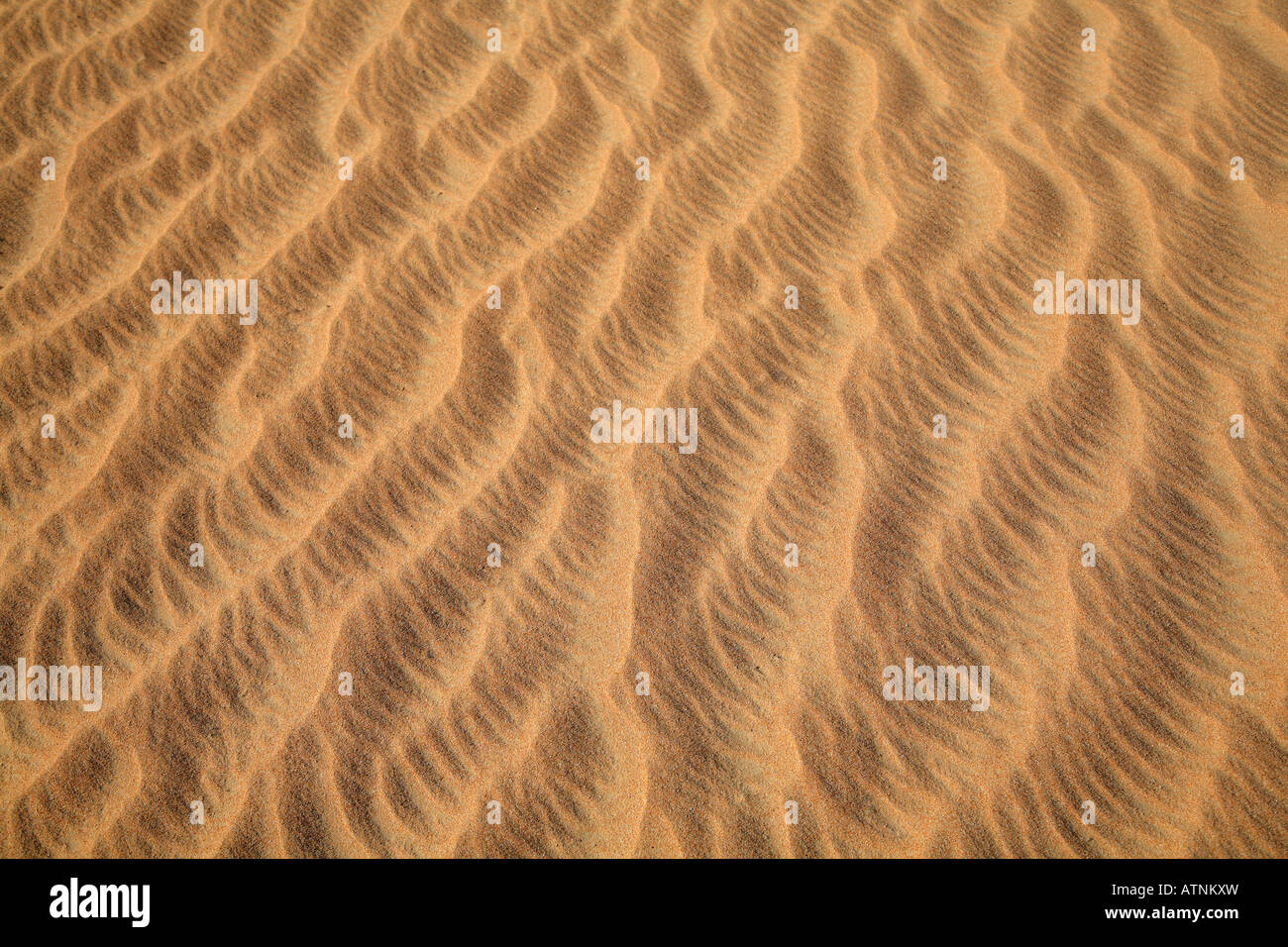Résumé régime des vagues dans le sable- Dubai Banque D'Images