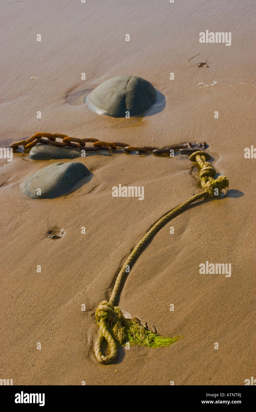 Close up de corde et la chaîne sur la plage de sable humide avec des pierres et des algues Banque D'Images