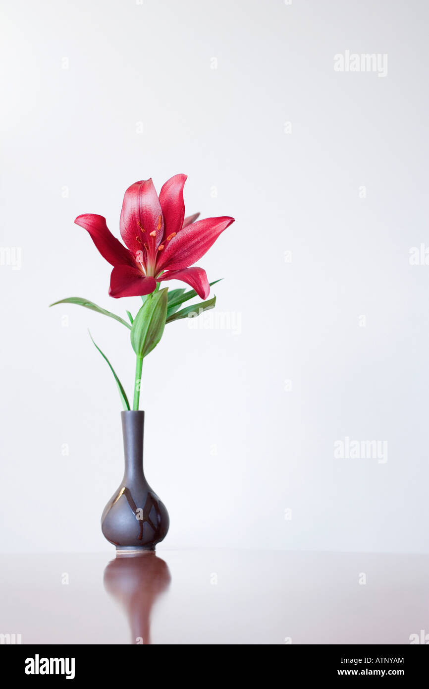 Close-up of a flower vase Banque D'Images