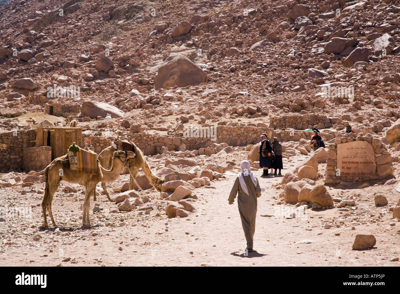 Les bédouins et les chameaux sur le sentier avec inscription au Mont Sinaï dans la région de Saint-désert du Sinaï Égypte Katherine Banque D'Images