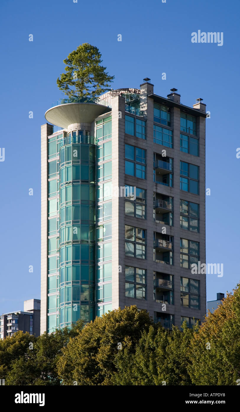 Arbre qui pousse sur le toit de vacances Vancouver Canada English Bay Banque D'Images