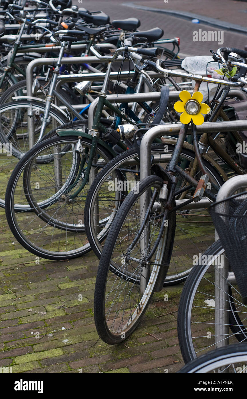 Projecteur de tournesol pour identifier votre vélo dans une mer de vélos à Amsterdam. Banque D'Images