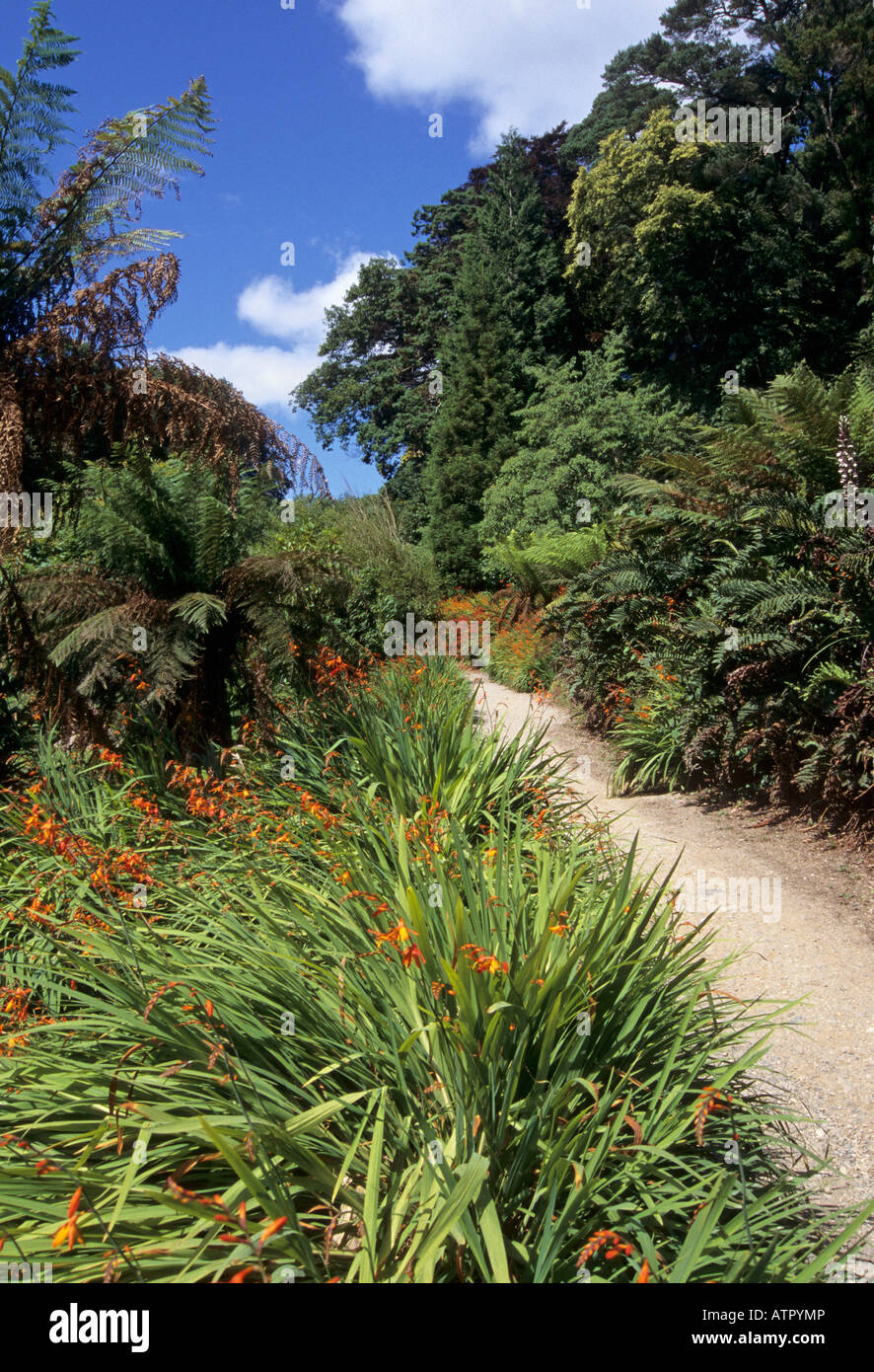 Jardins de Trebah Banque D'Images