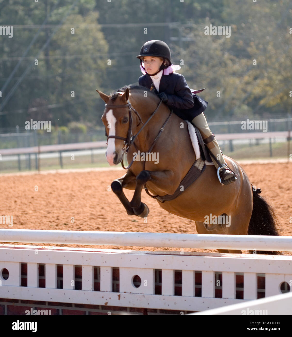 Compétition équine -- Série d'hiver de Jacksonville en 2008 classique de Cavalier Green Cove Springs Banque D'Images