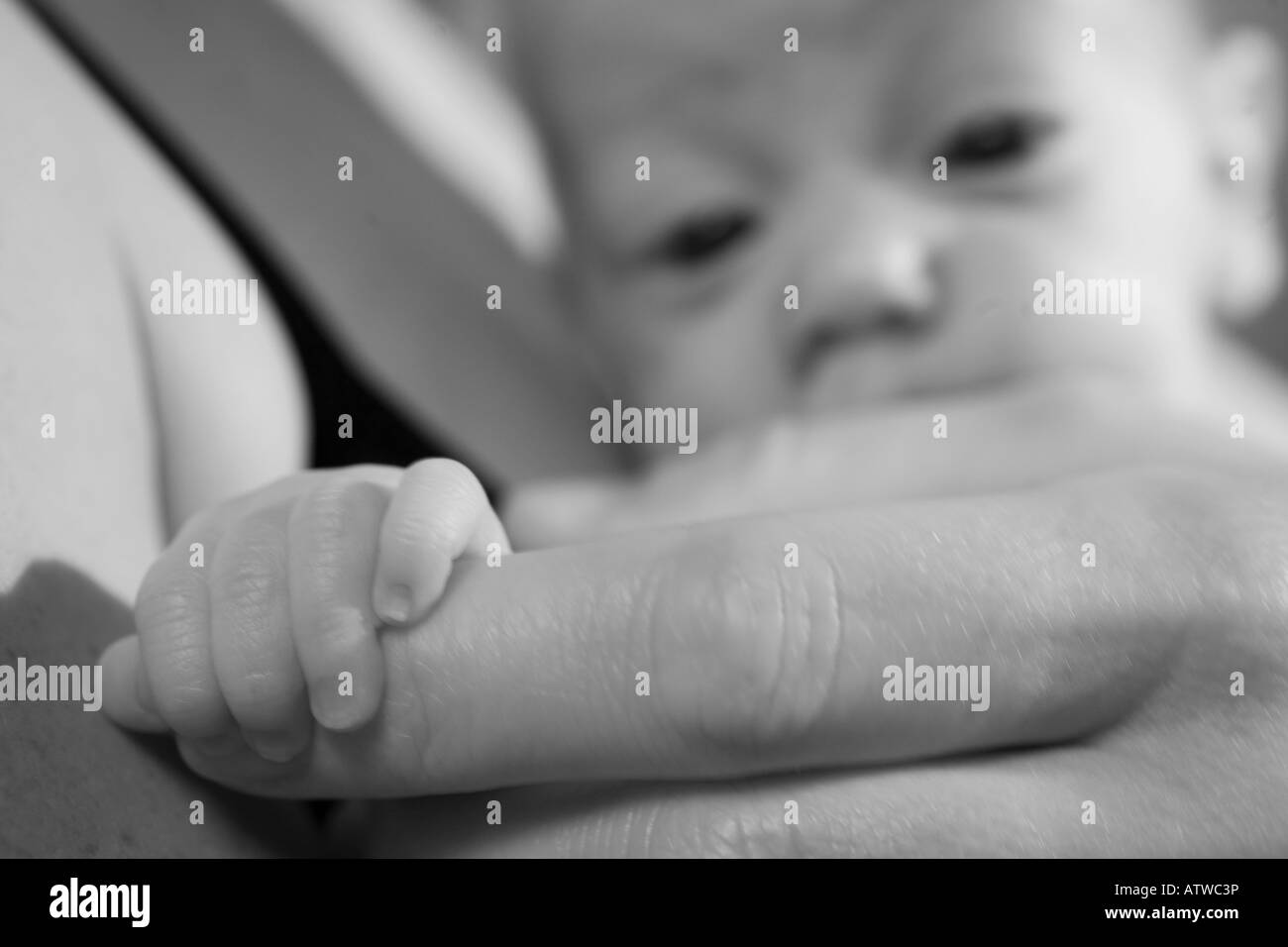 Un bébé prématuré saisit le doigt de sa mère, studio Banque D'Images