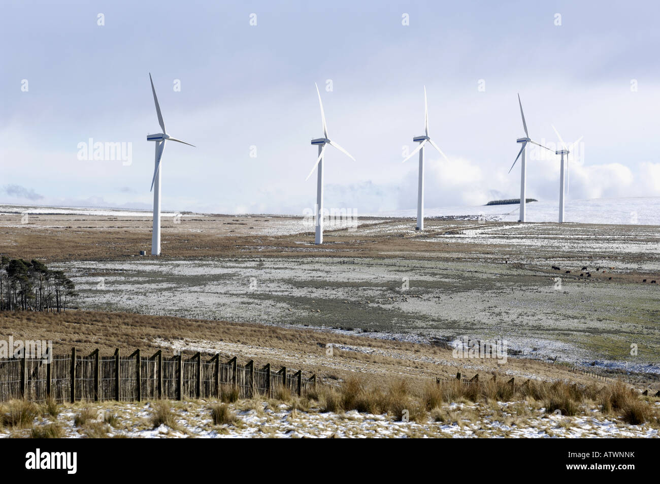 La production d'énergie verte d'éoliennes Les éoliennes des Scottish Borders en Écosse Banque D'Images