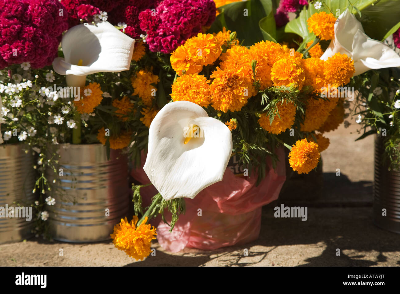 Mexique Guanajuato bouquets de fleurs de lys et dans les boîtes de conserve pour célébrer le Jour des Morts Banque D'Images
