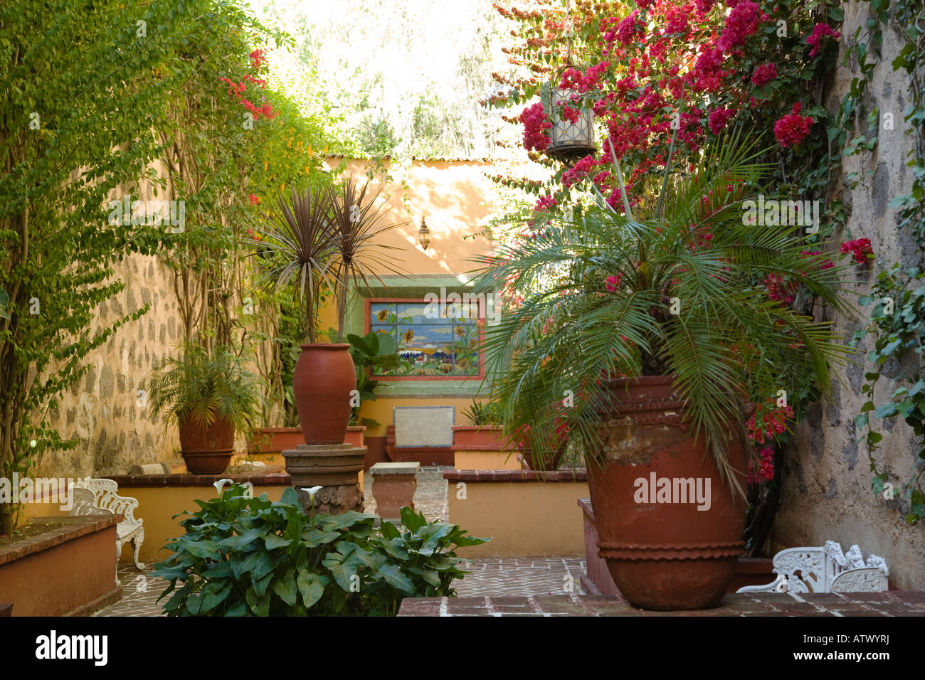Mexique Guanajuato plantes en pot en verre teinté de bancs dans un jardin italien ex hacienda de San Gabriel de Barrera Banque D'Images