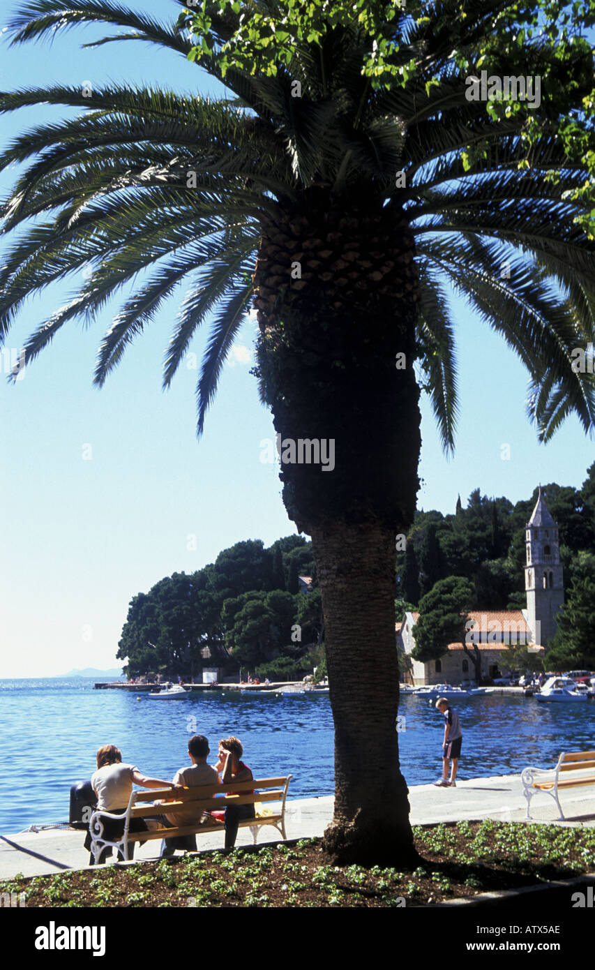 La ville de Cavtat Harbor medieaval les touristes en vacances, par l'Adriatique Riviera Dalmate Croatie Banque D'Images