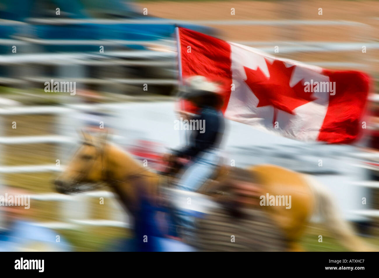 Cowboy à cheval tenant un drapeau canadien Banque D'Images