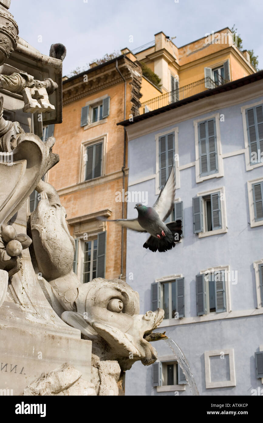 Fontaine. Détail. 16e siècle. La Piazza della Rotonda. Rome. Italie Banque D'Images