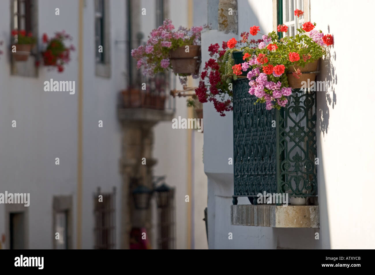 Windows fleuri Portugal Óbidos Banque D'Images