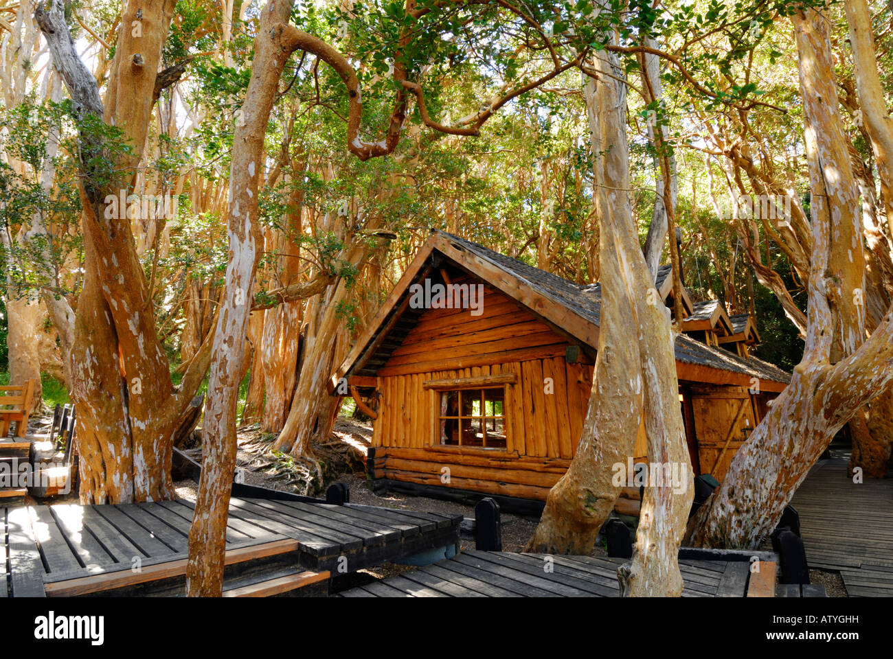 Vieux Chalet dans les bois, Parc National de Los Arrayanes, péninsule de Quetrihue, Neuquen, Argentine, Amérique du Sud Banque D'Images