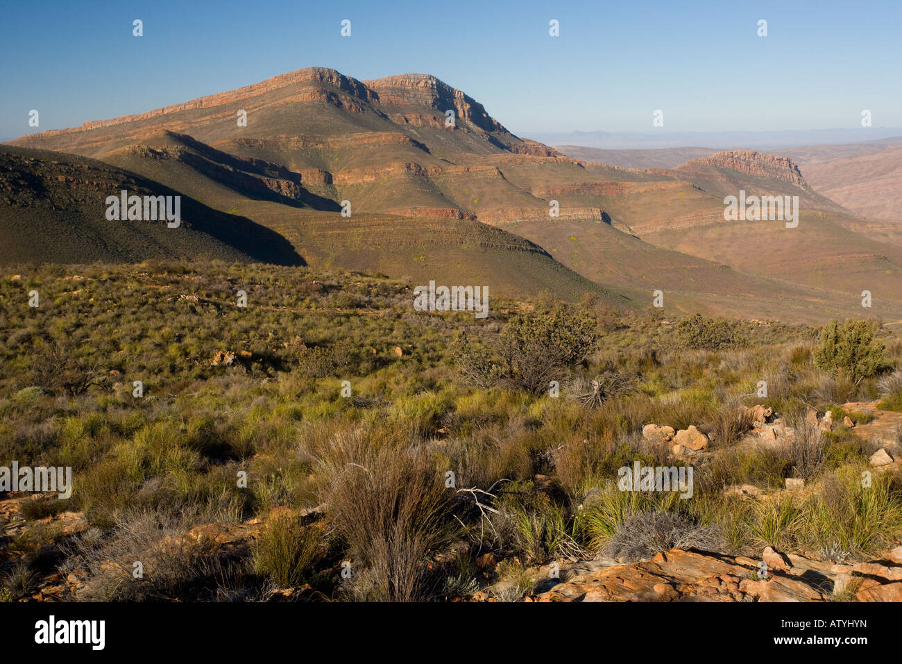 Les montagnes Cederberg Cederberg Wilderness Area Western Cape Afrique du Sud Banque D'Images