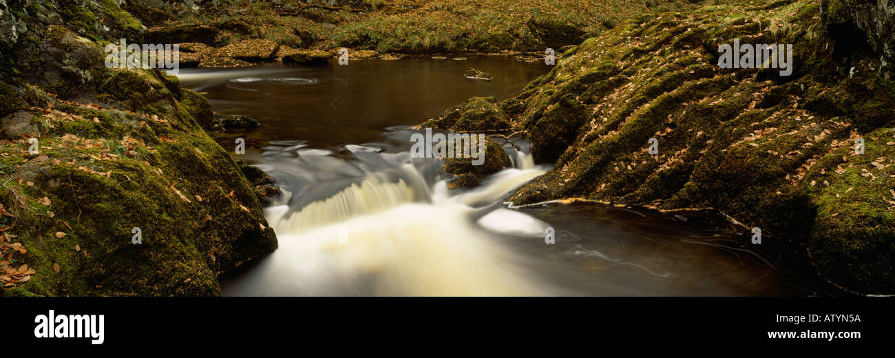 Doe River près de Ingleton Yorkshire du Nord comme il se dirige vers Baxengyhll sur la gorge des chutes d'eau à pied Banque D'Images