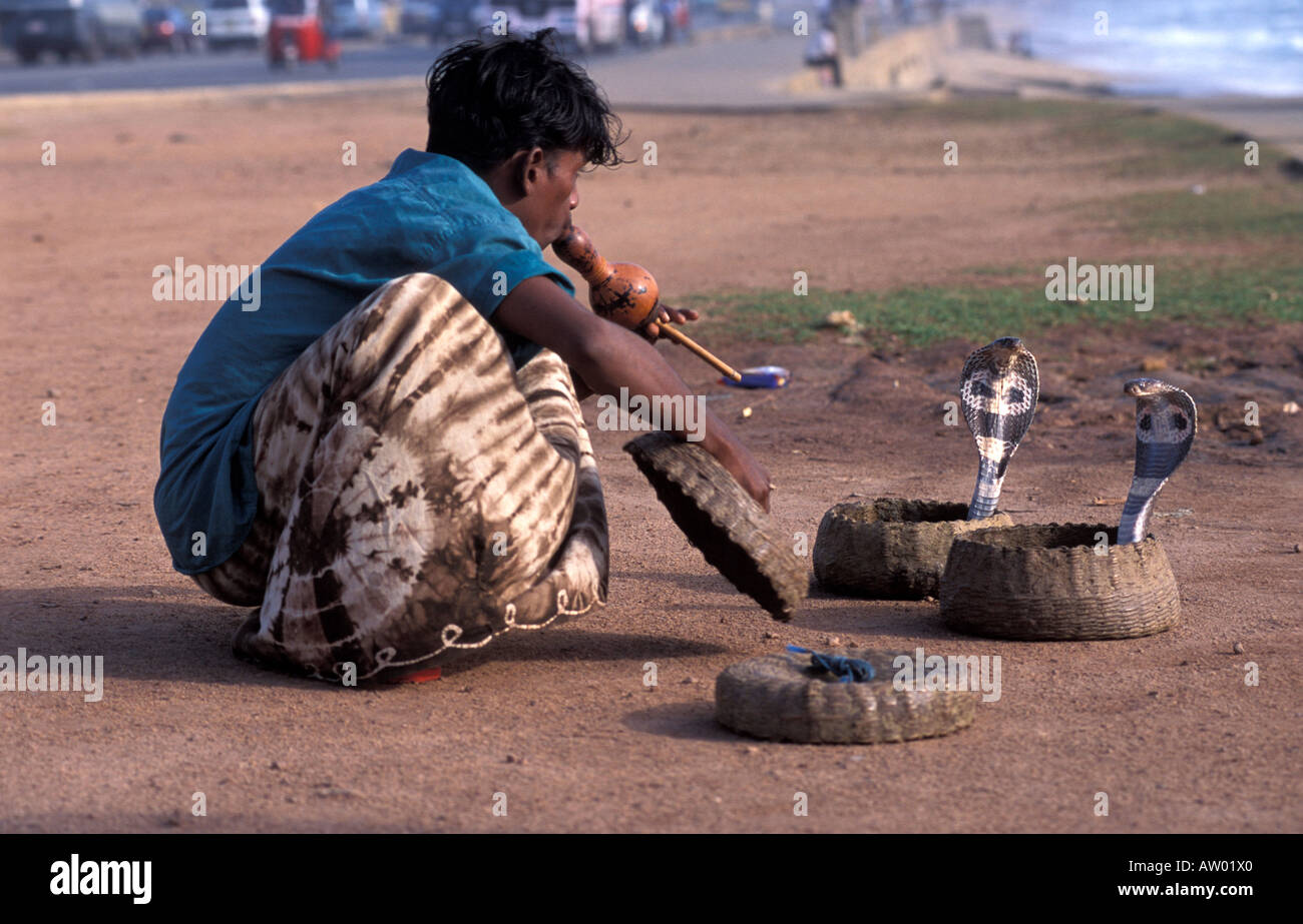 Charmeur de serpent, Promenade Galle Road Colombo Sri Lanka Asie Océan Indien Banque D'Images