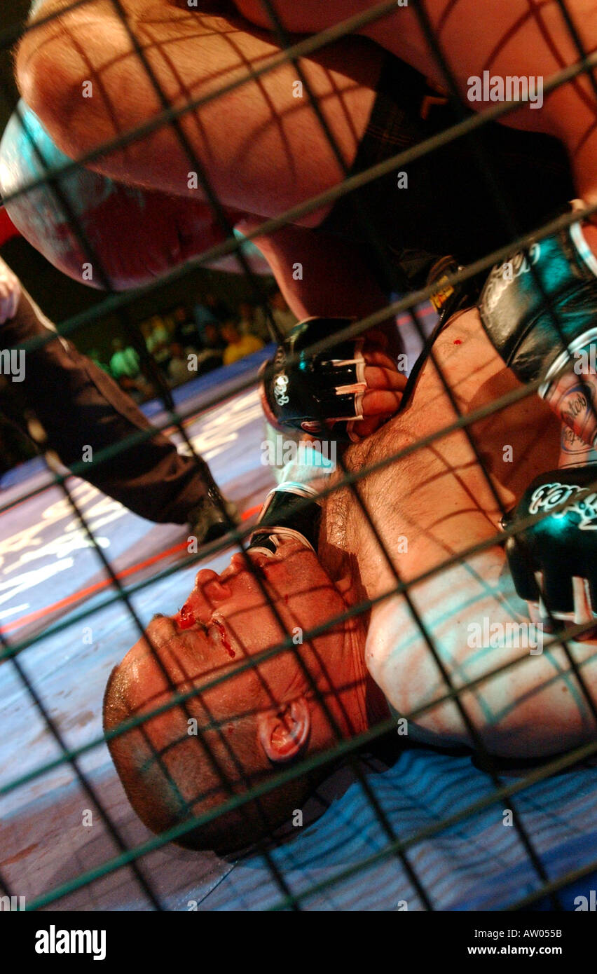 Reportage les images prises à une cage warrior s cas à Sunderland Newcastle United Kingdom Banque D'Images