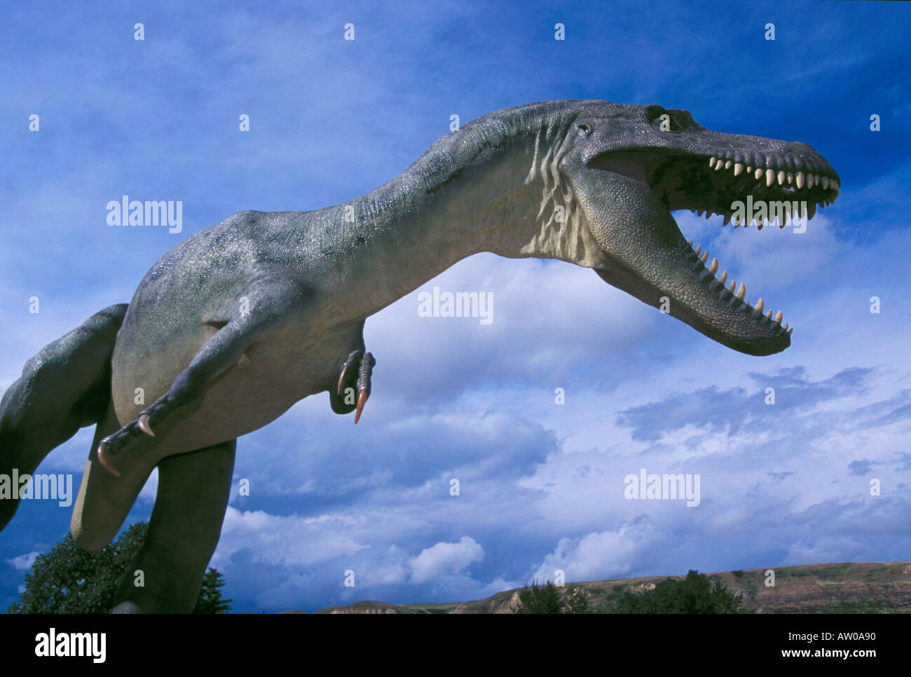 Canada Alberta Drumheller Model d'Albertosaurus proche cousin du T Rex Banque D'Images