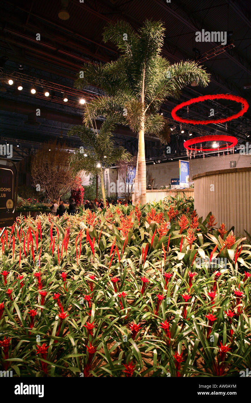 Lit de trois sortes de bromelia avec d'immenses palmiers à une hauteur de l'arrière du centre des congrès de toit. Banque D'Images