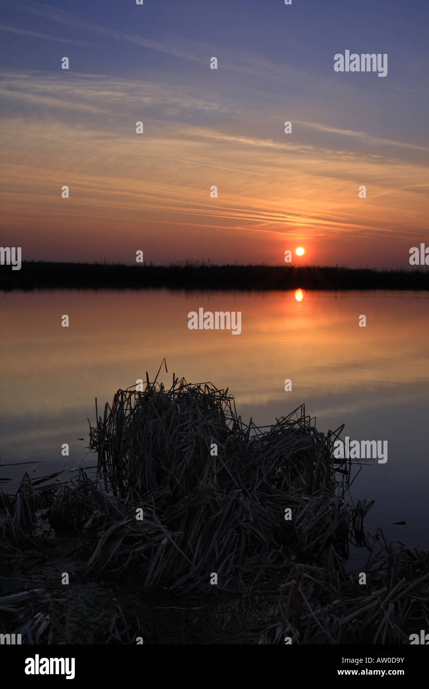 La fin de l'hiver un simple coucher de soleil sur le bord du lac. Banque D'Images