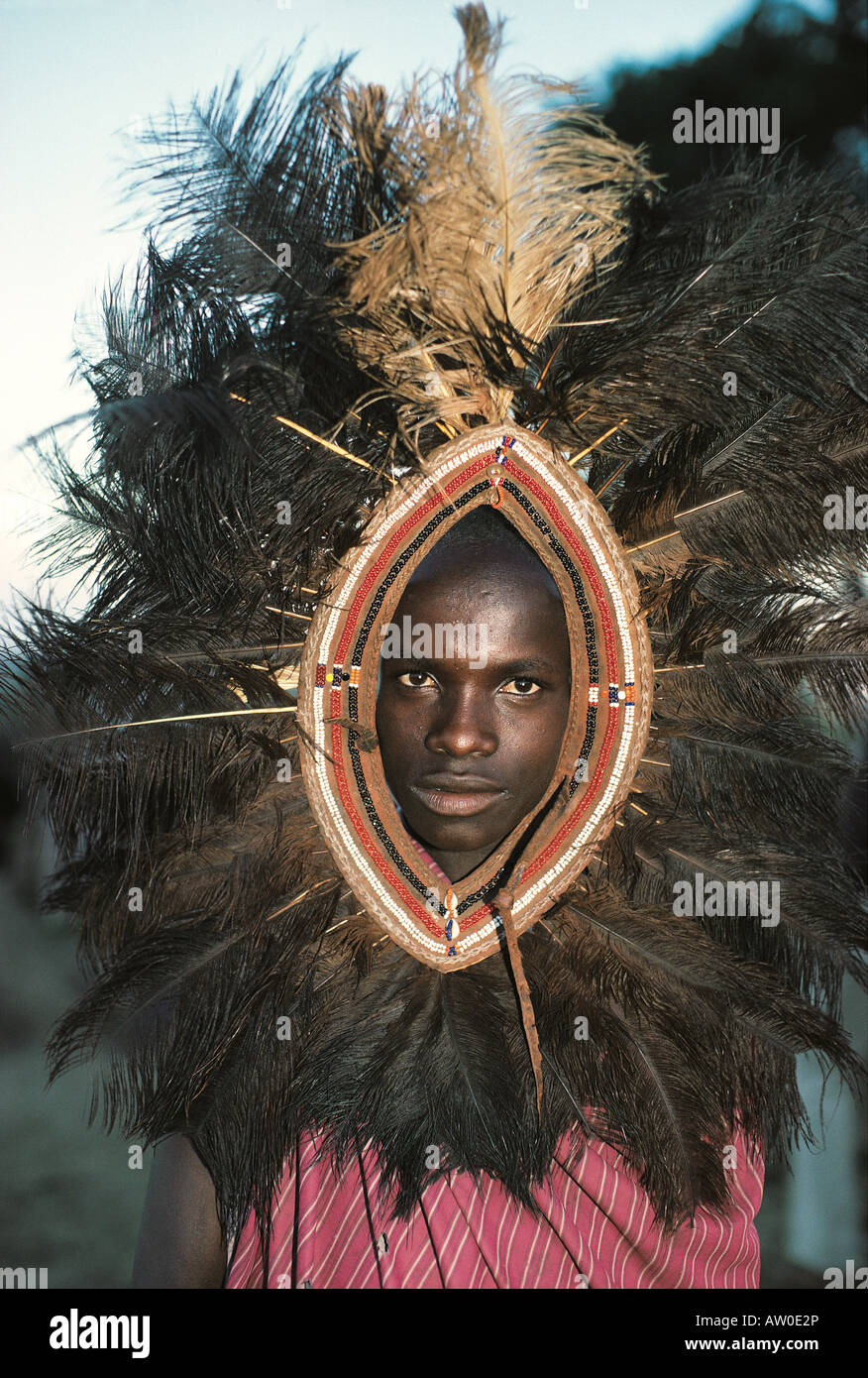 Guerrier moran Maasai portant une coiffe de plumes d'autruche sud du Kenya Afrique de l'Est Banque D'Images