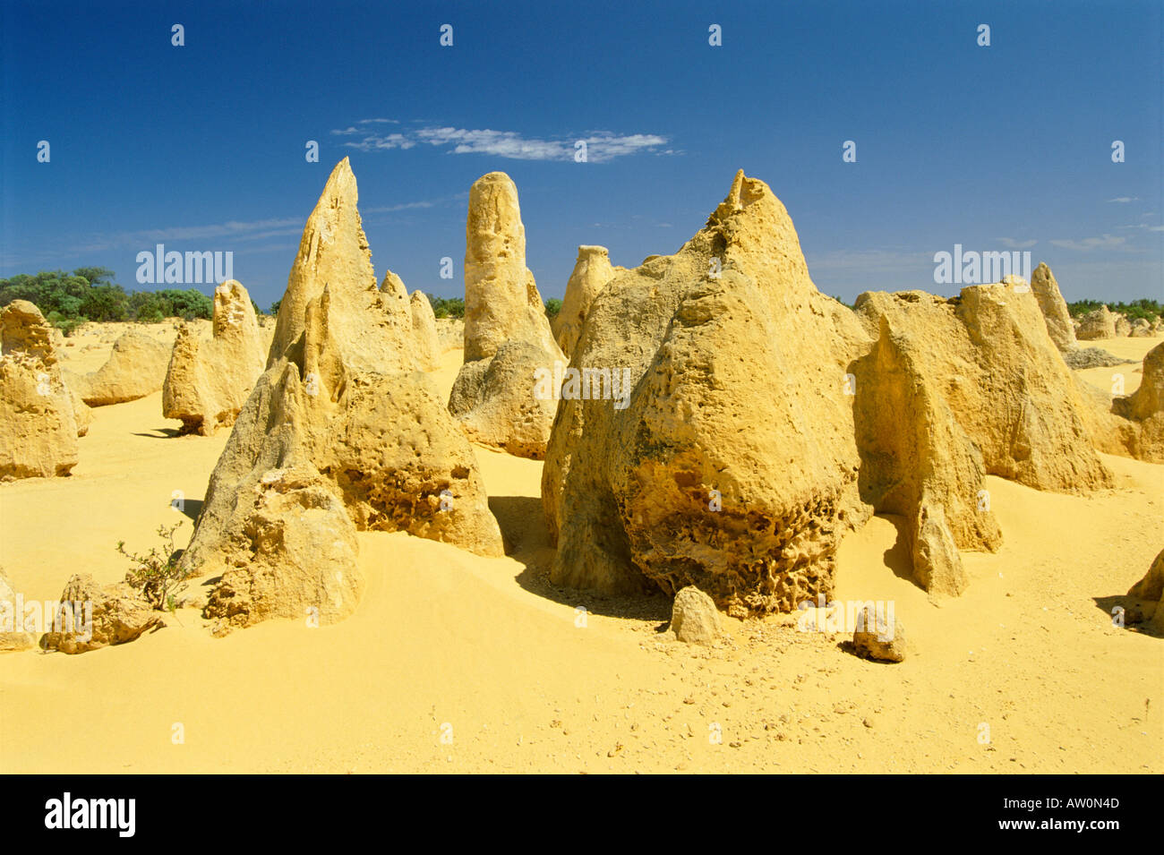 L'apogée du désert, le Parc National de Nambung près de Perth, Australie occidentale Banque D'Images