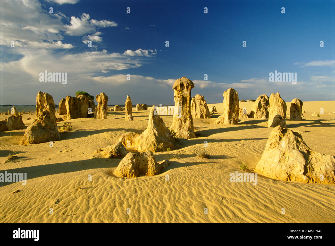 L'apogée du désert, le Parc National de Nambung près de Perth, Australie occidentale Banque D'Images
