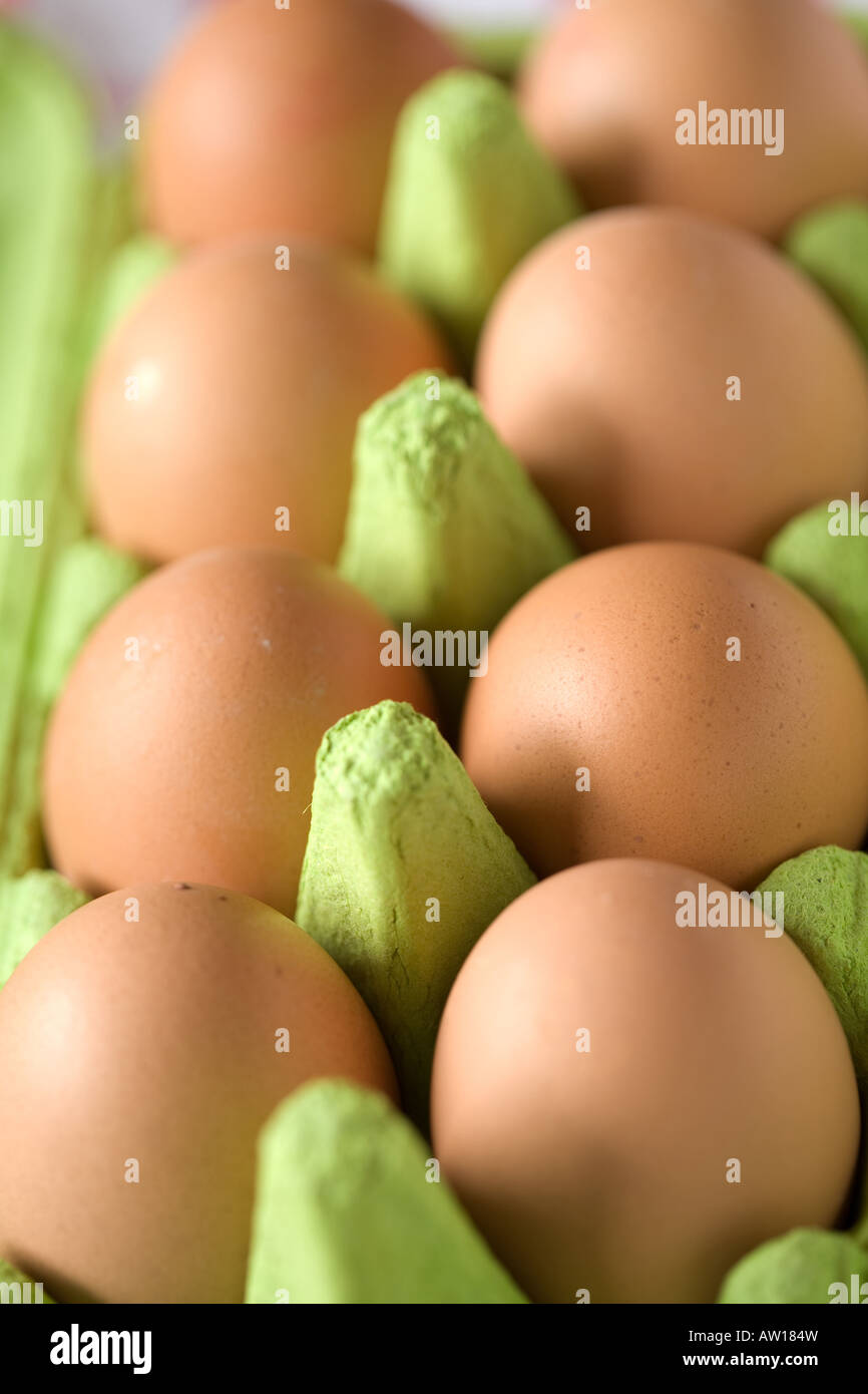 Fort d'œufs prêts à être utilisés dans la cuisine Banque D'Images